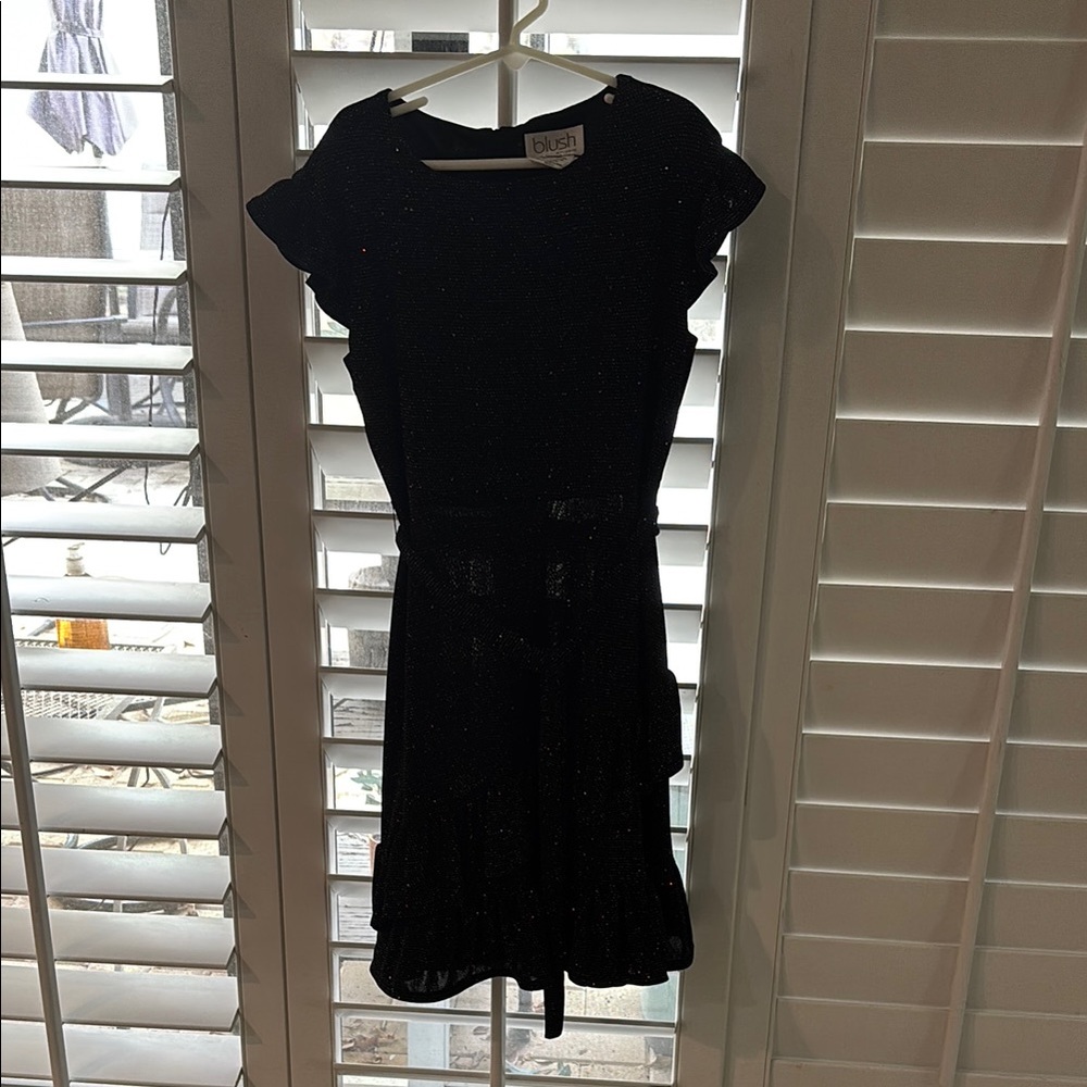 Blush Black Ruffle Dress